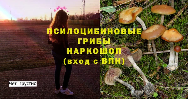 кристаллы Михайловка
