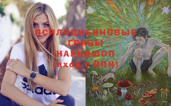 бошки Михайловск