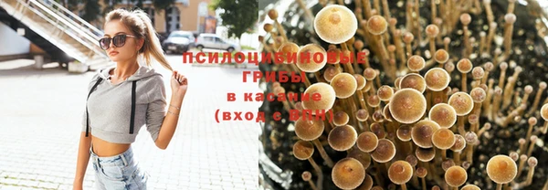 бошки Михайловск