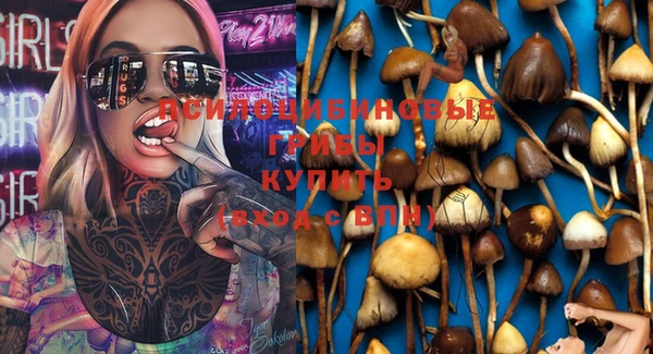 бошки Михайловск