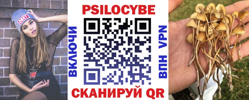 Псилоцибиновые грибы мицелий Западная Двина