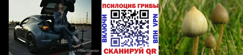 Псилоцибиновые грибы Magic Shrooms  Купить закладки  Западная Двина 